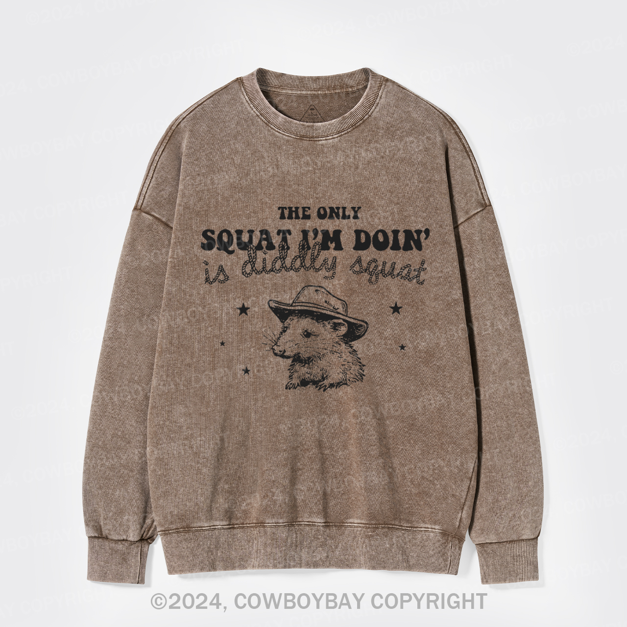 The Only Squat I'm Doing Is Diddly Squat Washed Sweatshirts