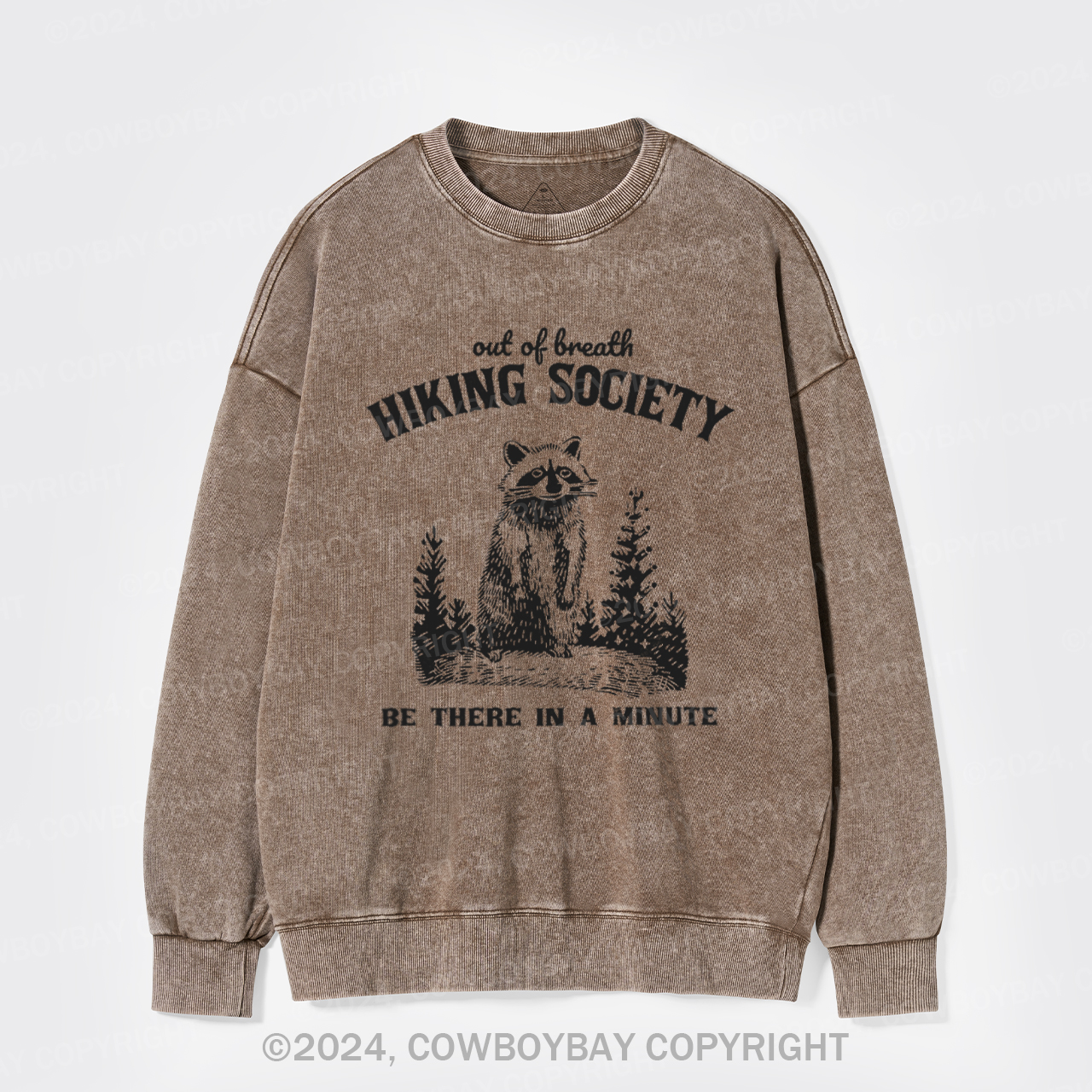 Out Of Breath Hiking Society Washed Sweatshirts