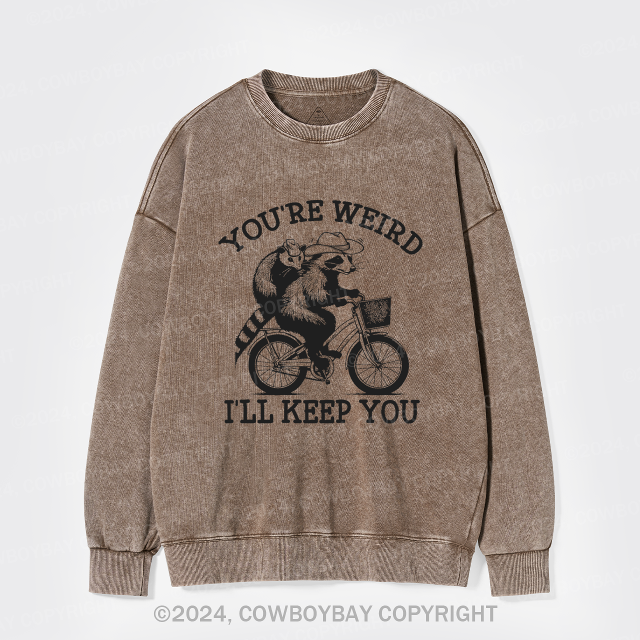 Raccoon And Possum Cycle Riding Washed Sweatshirts