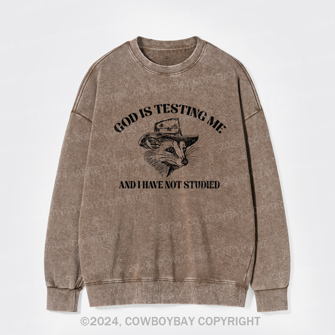 God Is Testing Me Funny Washed Sweatshirts