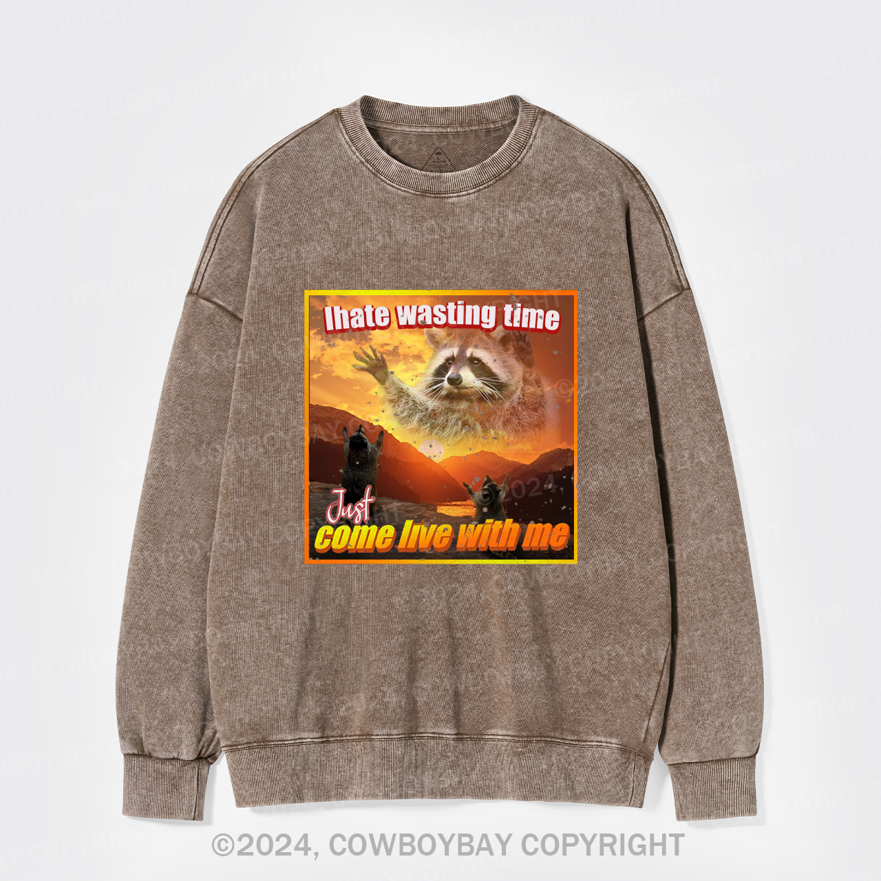 I Hate Wasting Time Just Come Live With Me Washed Sweatshirts