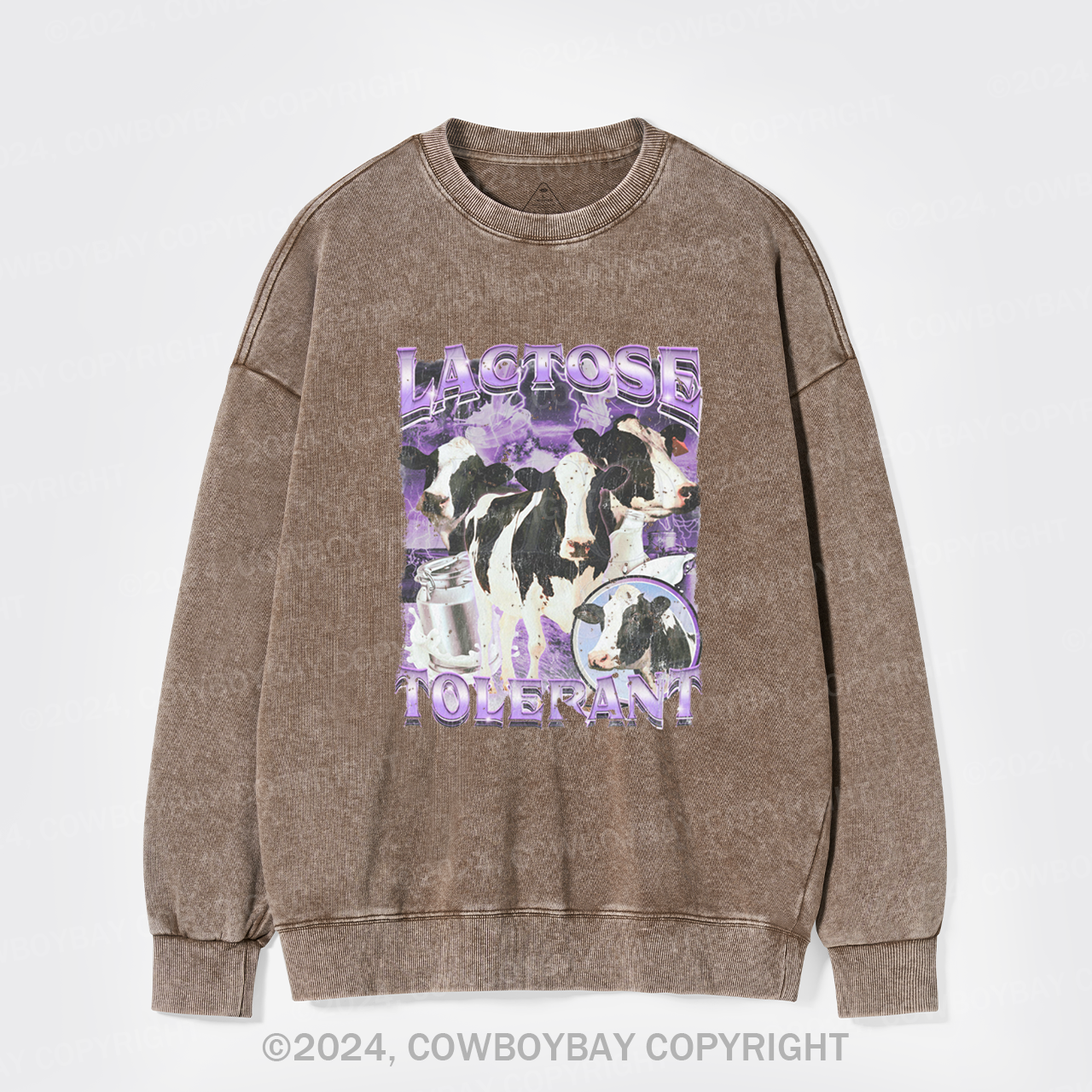 Lactose Tolerant Washed Sweatshirts