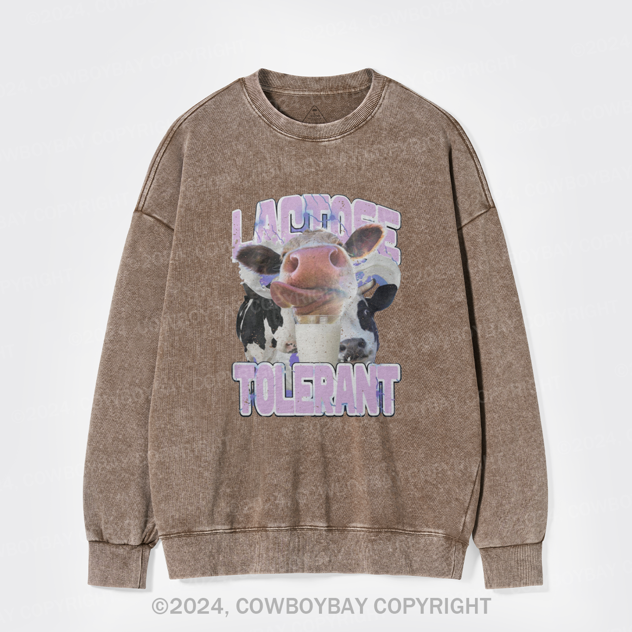 Lactose Tolerant Vintage Washed Sweatshirts