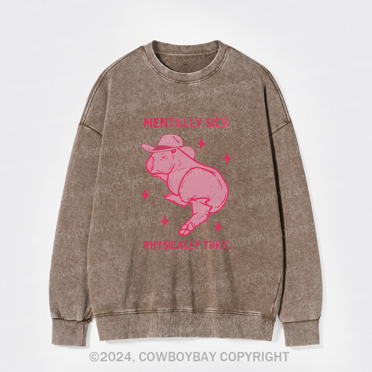 Mentally Sick Physically Thicc Capybara Washed Sweatshirts
