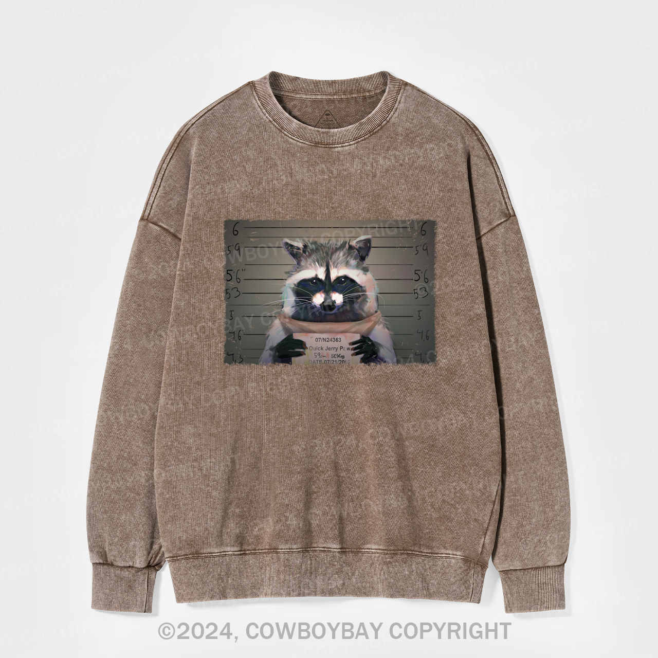 The Captive Raccoon Killer Washed Sweatshirts