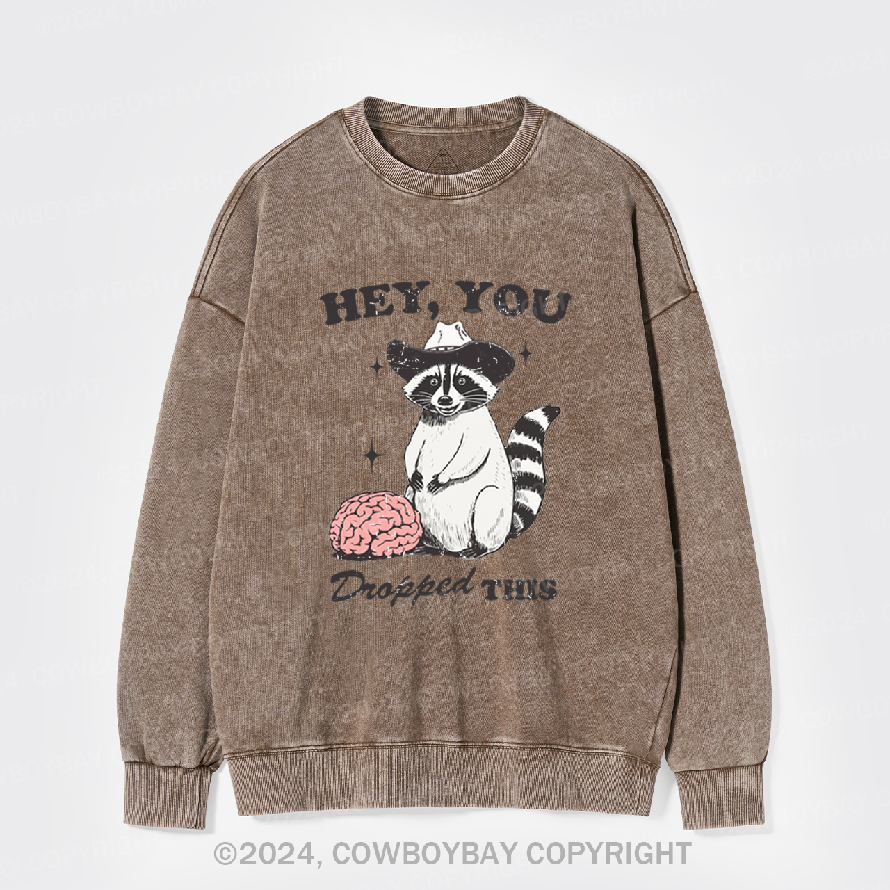 Hey, You Dropped This Washed Sweatshirts