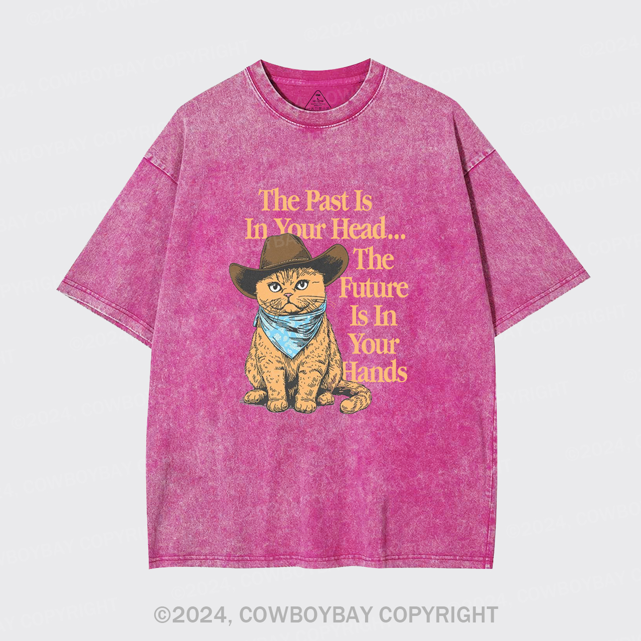 The Past Is In Your Head Garment-dye Tees