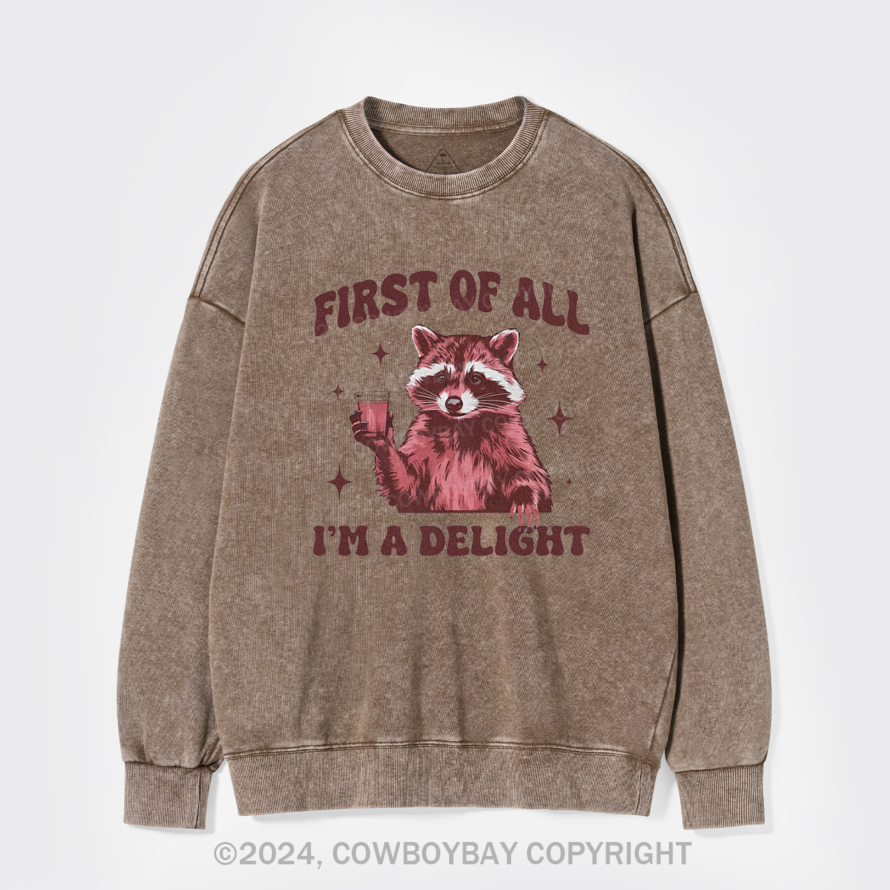 First Of All,I'm A Delight Washed Sweatshirts