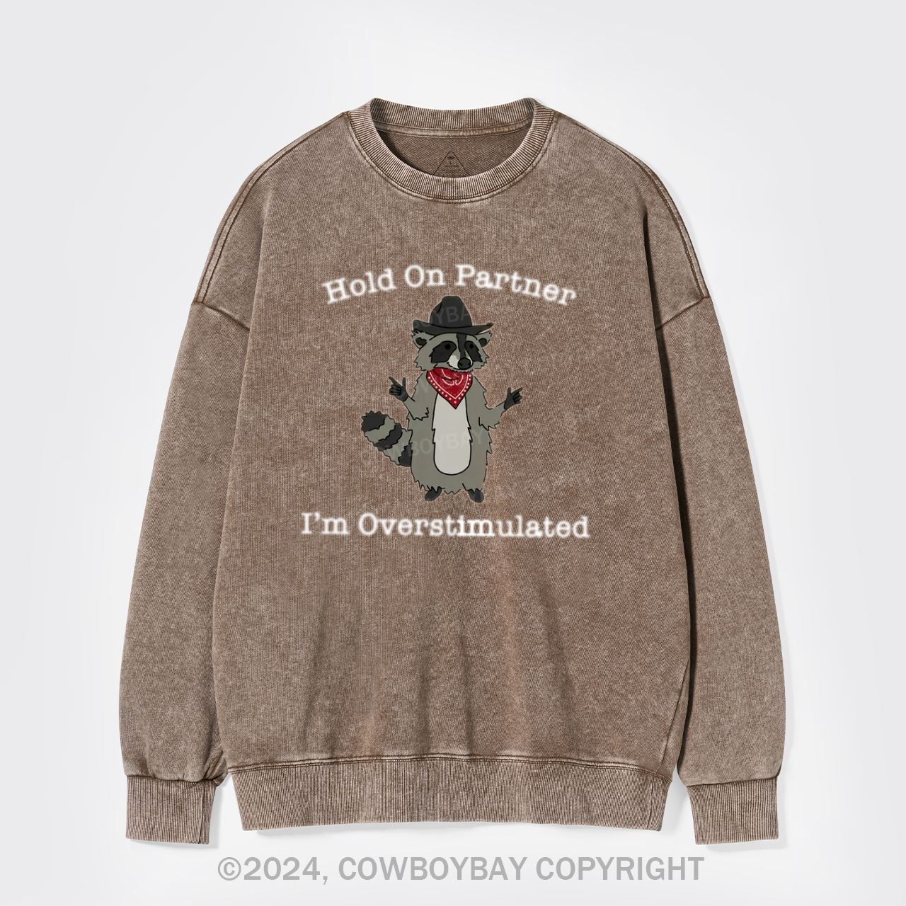 Wait, I'm So Excited Washed Sweatshirts