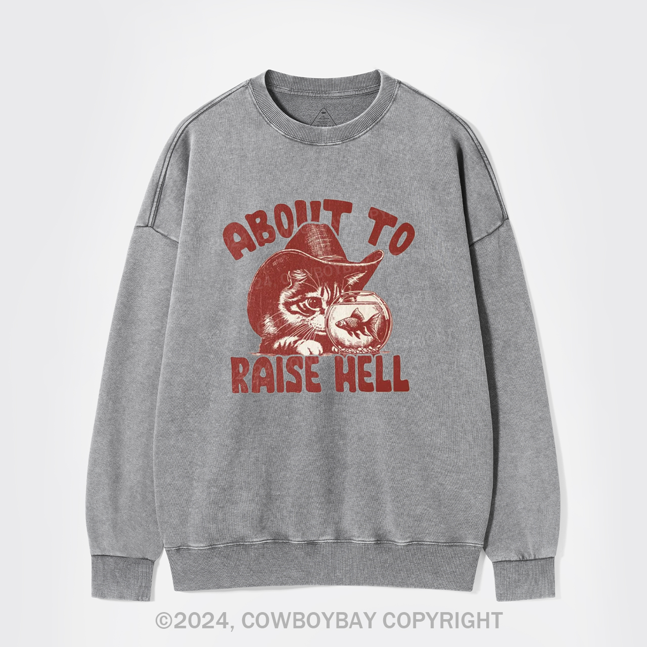 About To Raise Hell Washed Sweatshirts