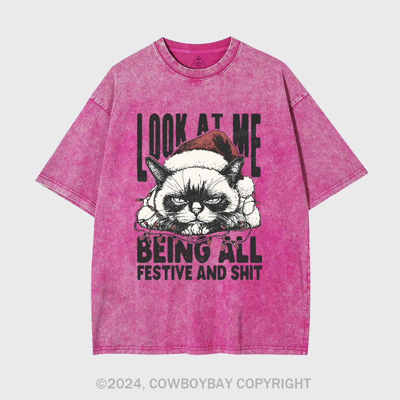 Funny Christmas Cat Garment-dye Tees