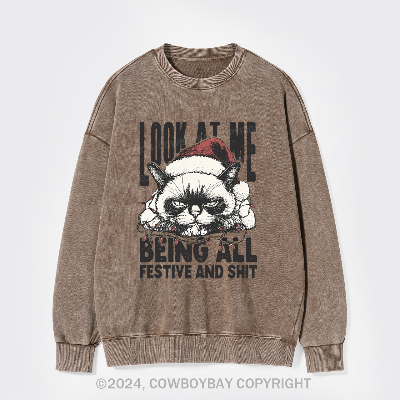 Funny Christmas Cat Washed Sweatshirts