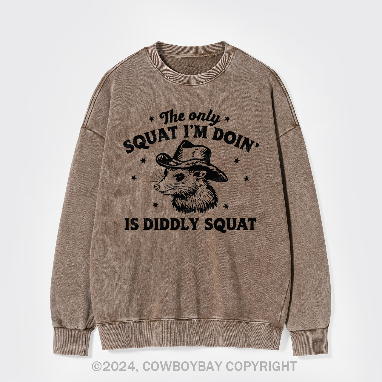 The Only Squat I'm Doing Is Diddly Squat Washed Sweatshirts