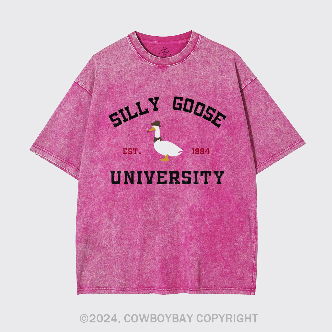 Silly Goose University Garment-dye Tees