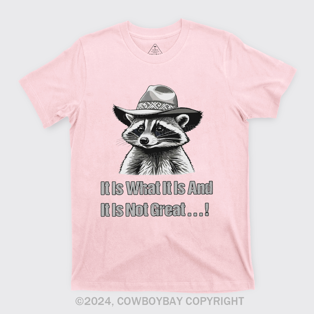 It Is What It Is And It Is Not Great T-Shirts