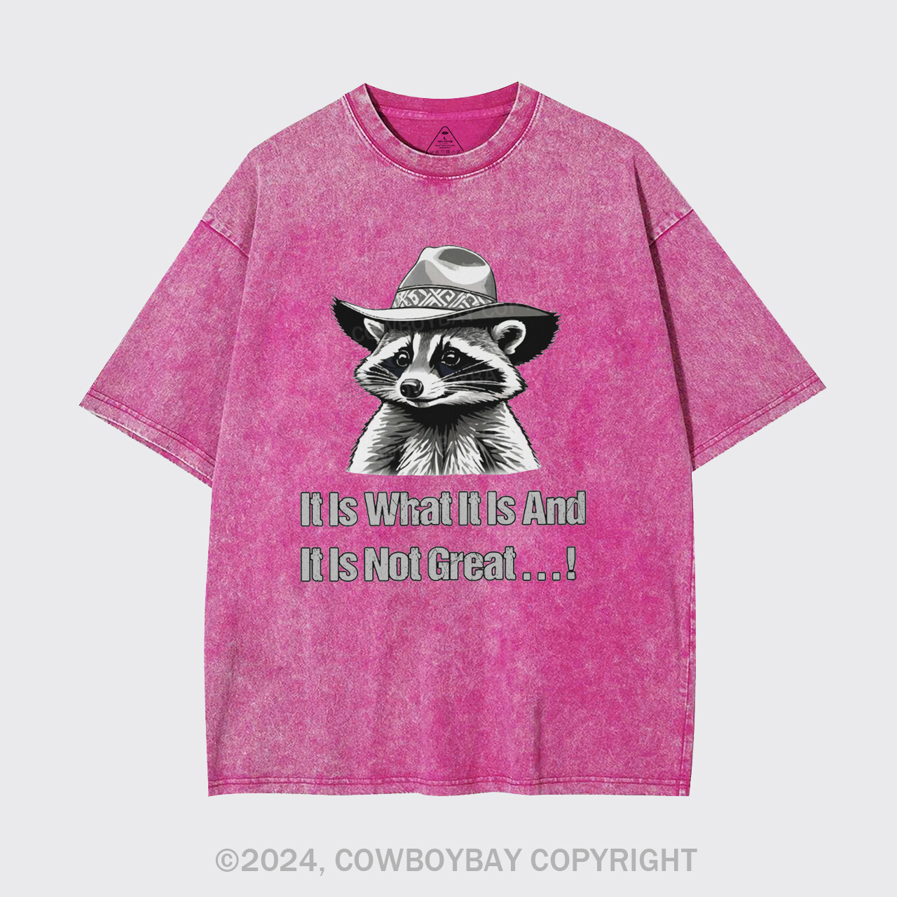 It Is What It Is And It Is Not Great Garment-dye Tees