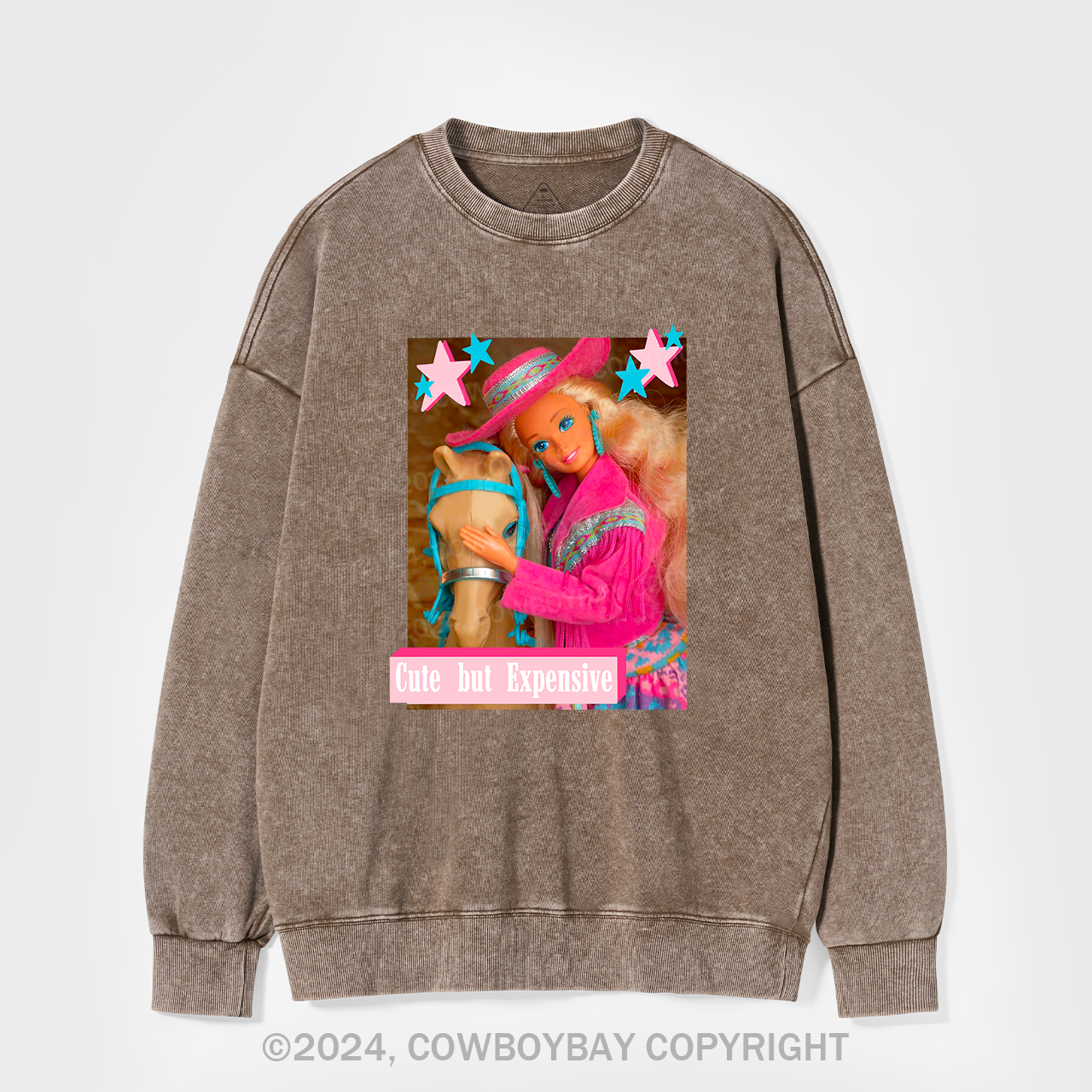 Cute But Expensive Retro Cowboy Washed Sweatshirts