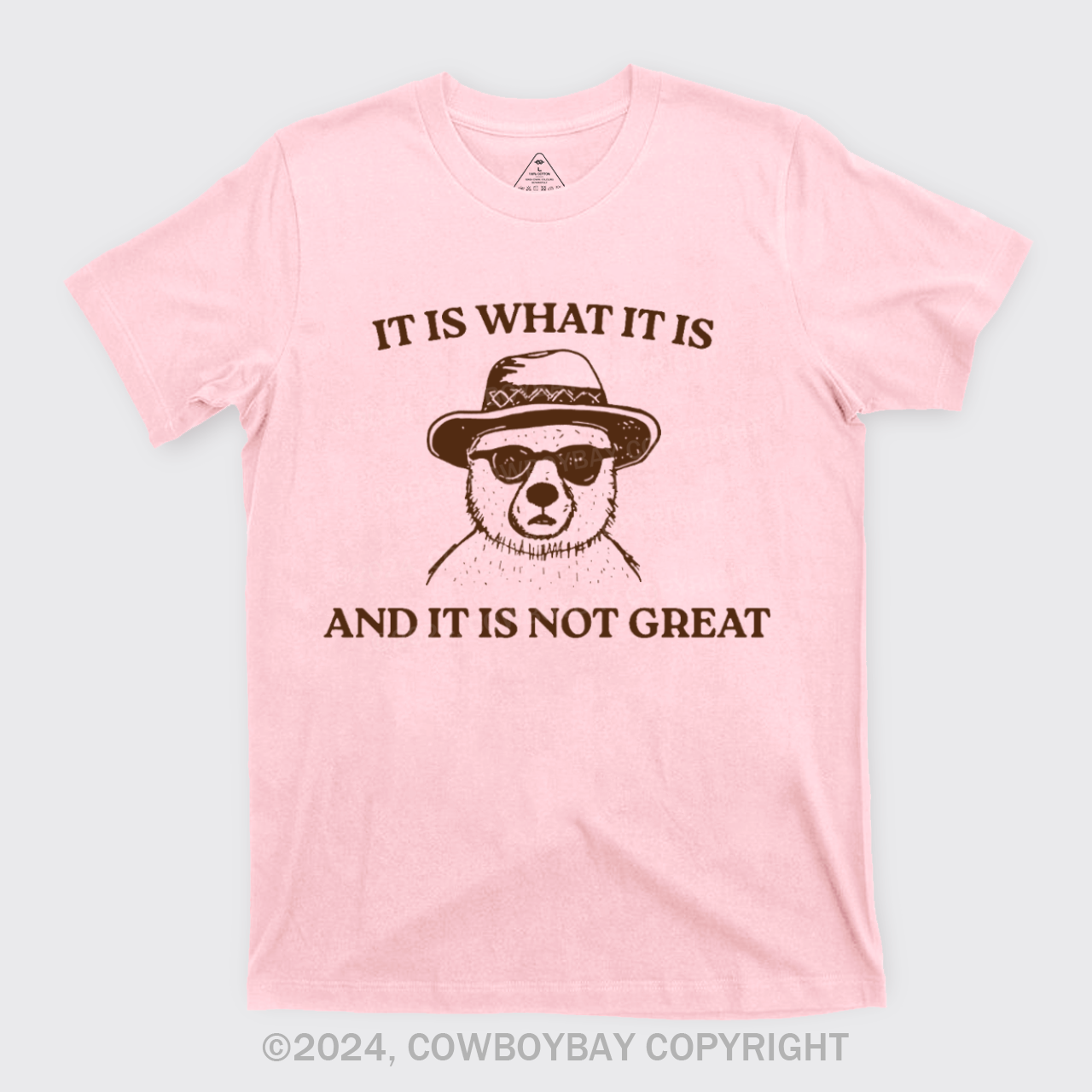 It Is What It Is And It Is Not Great T-Shirts