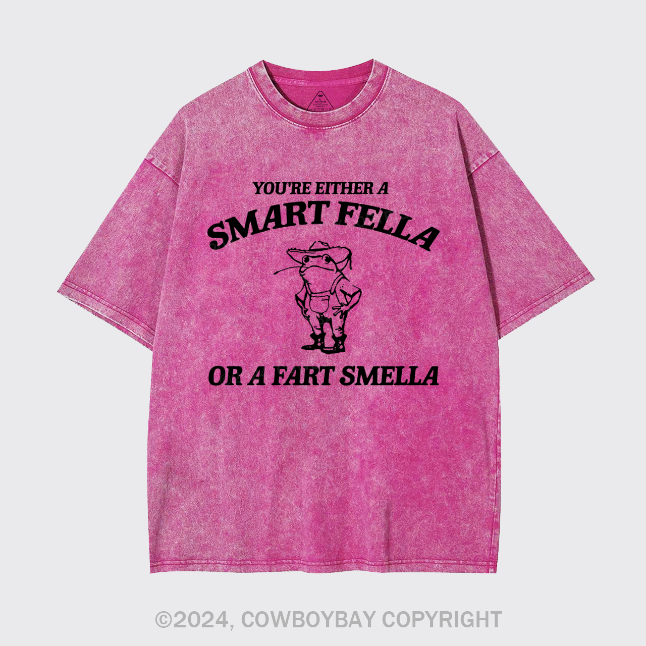 Are You A Smart Fella Or Fart Smella Garment-dye Tees