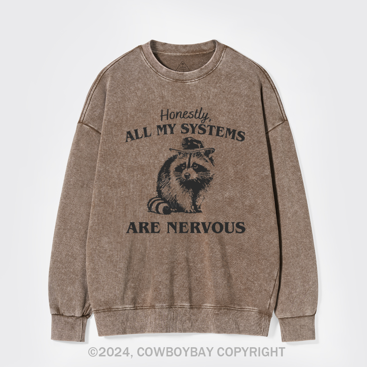 Actually All My Systems Are Nervous Washed Sweatshirts