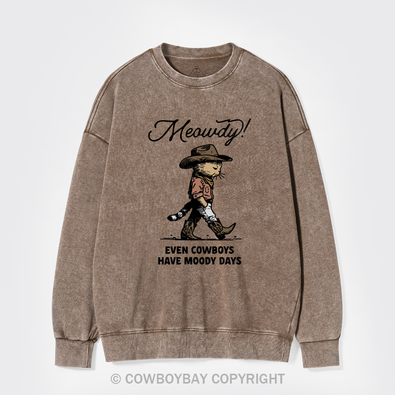 Sad Cat Cowboy Washed Sweatshirts
