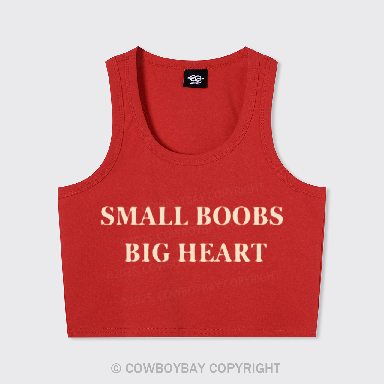 Small Boobs Big Heart Tank Top
