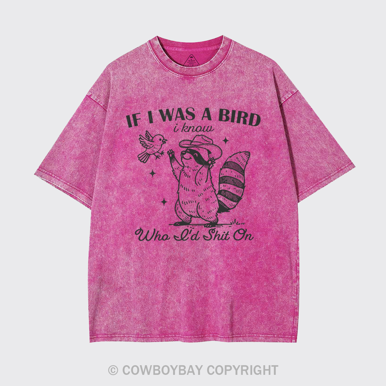 If I Was A Bird I Know Who I'd Shit On Garment-dye Tees