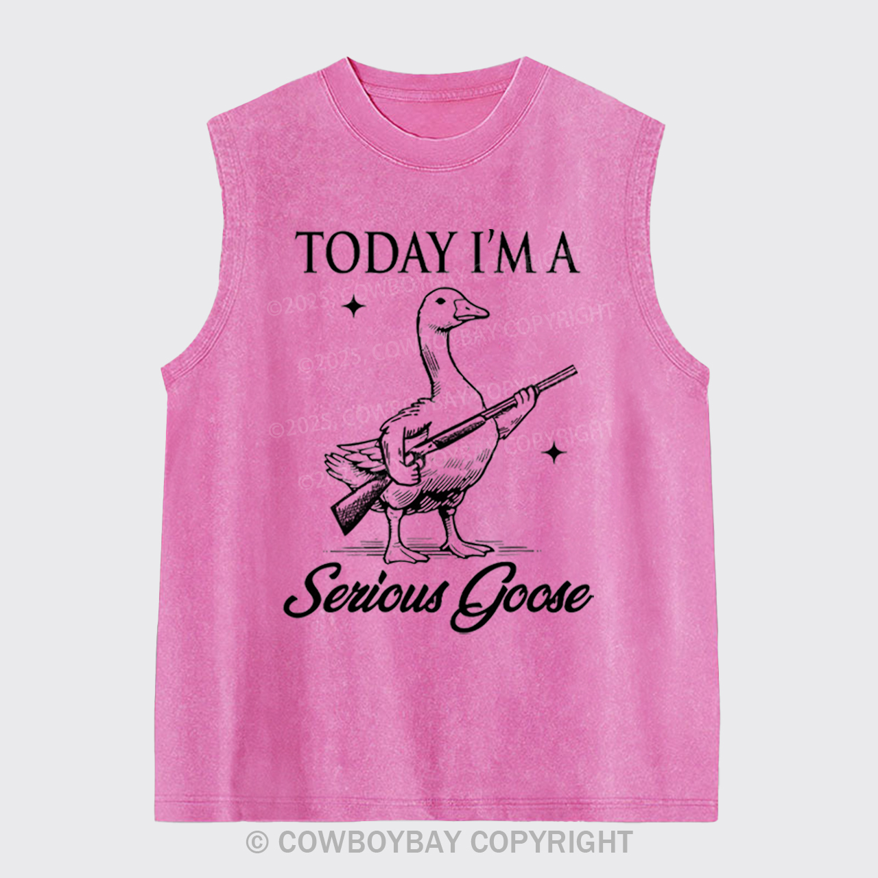 Today I'm Serious Goose Washed Tanks