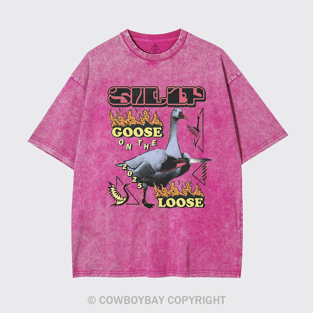 Silly Goose On The 2025 Loose Garment-dye Tees
