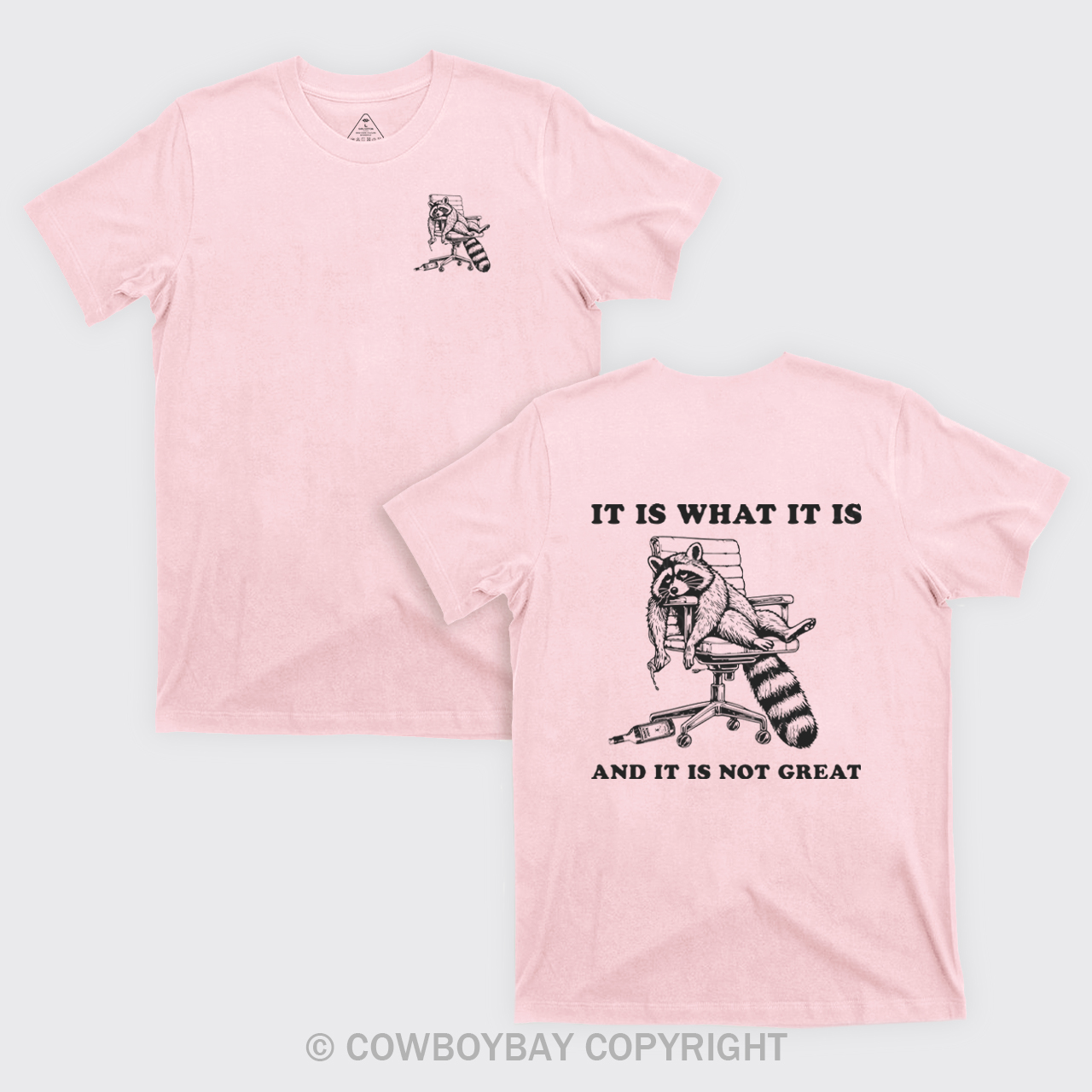 It Is What It Is And It Is Not Great T-Shirts