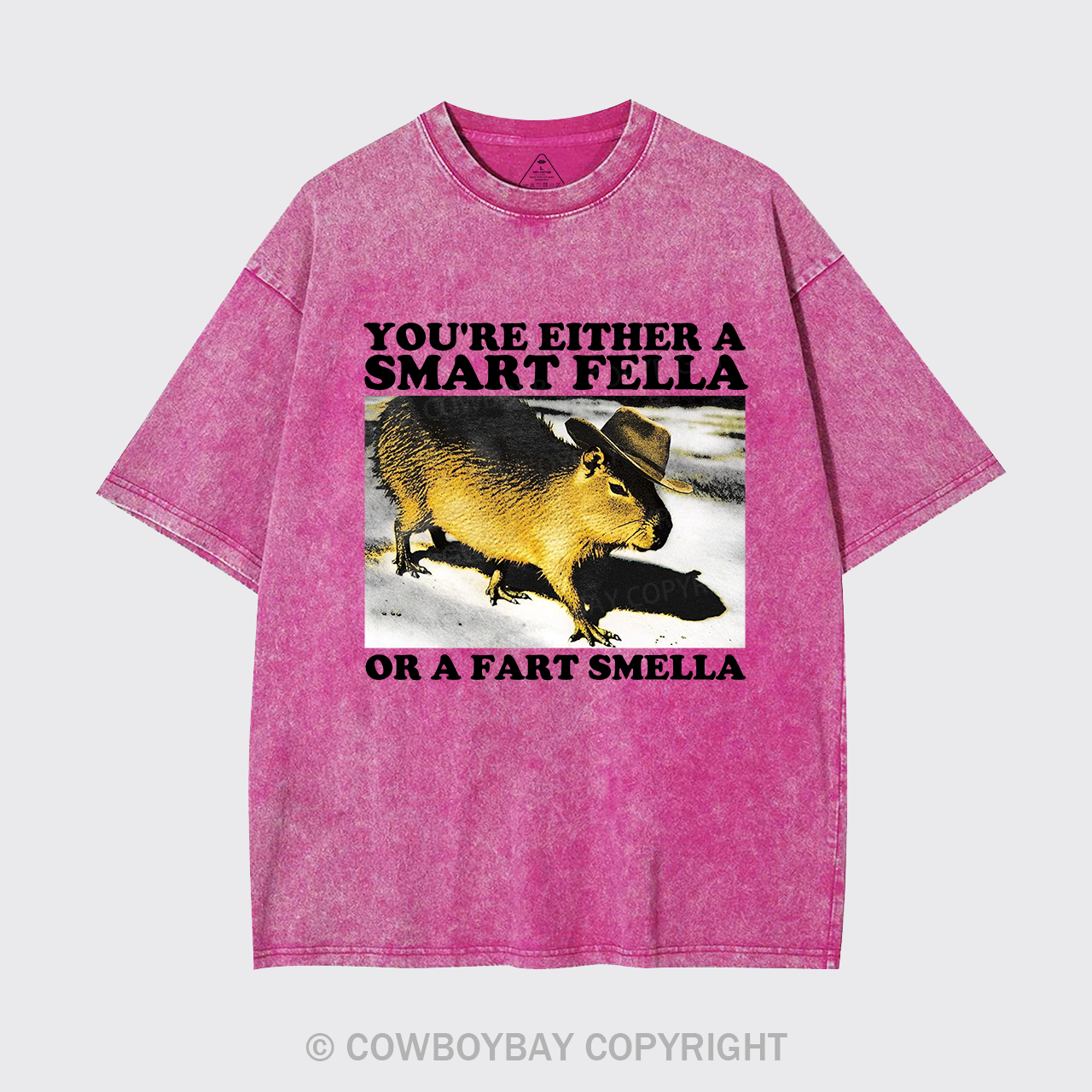 Retro Smart Fella Fart Smella Capybara 90s Garment-dye Tees