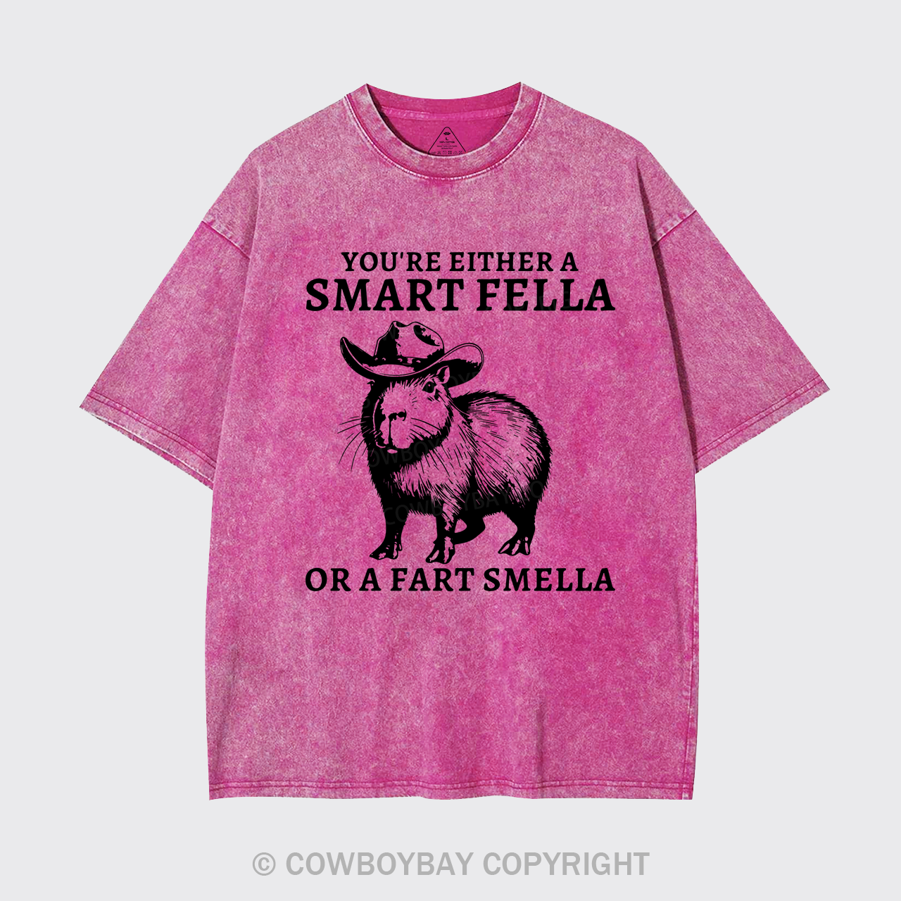 Retro Smart Fella Capybara 90s Garment-dye Tees