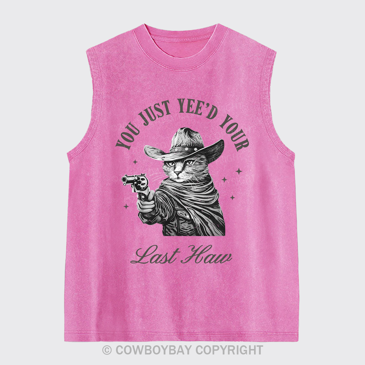 Western Cowboy Cats Love To Shoot Washed Tanks