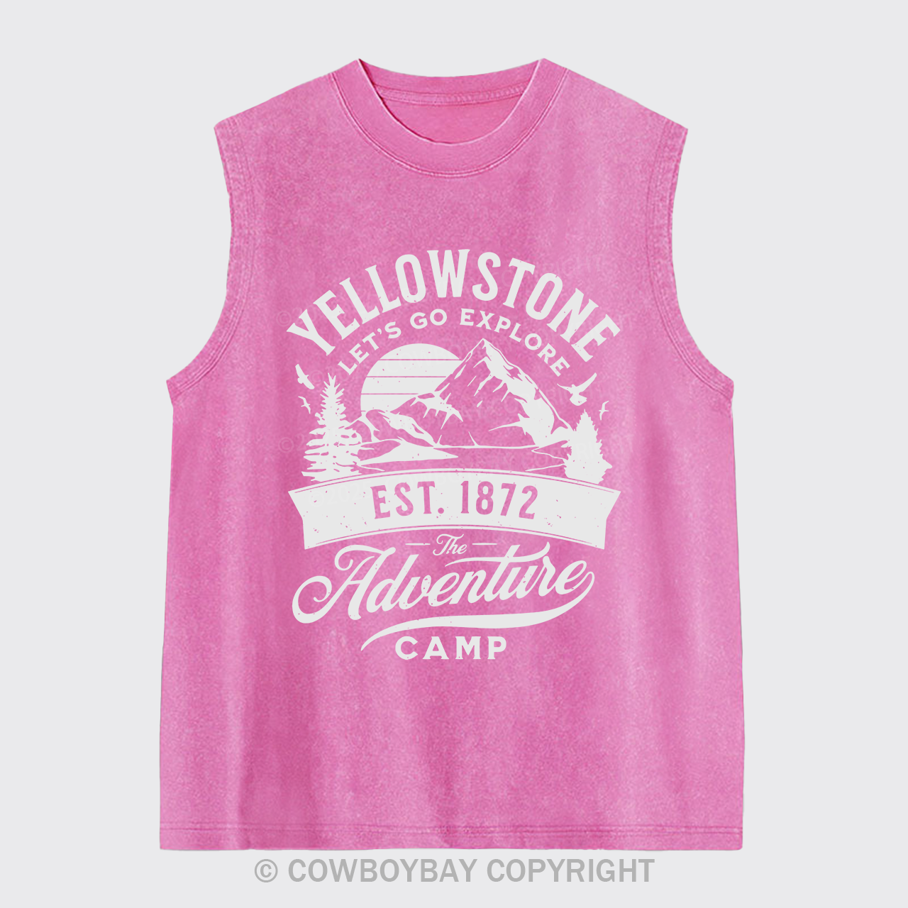 Yellowstone Let's Explore Washed Tanks