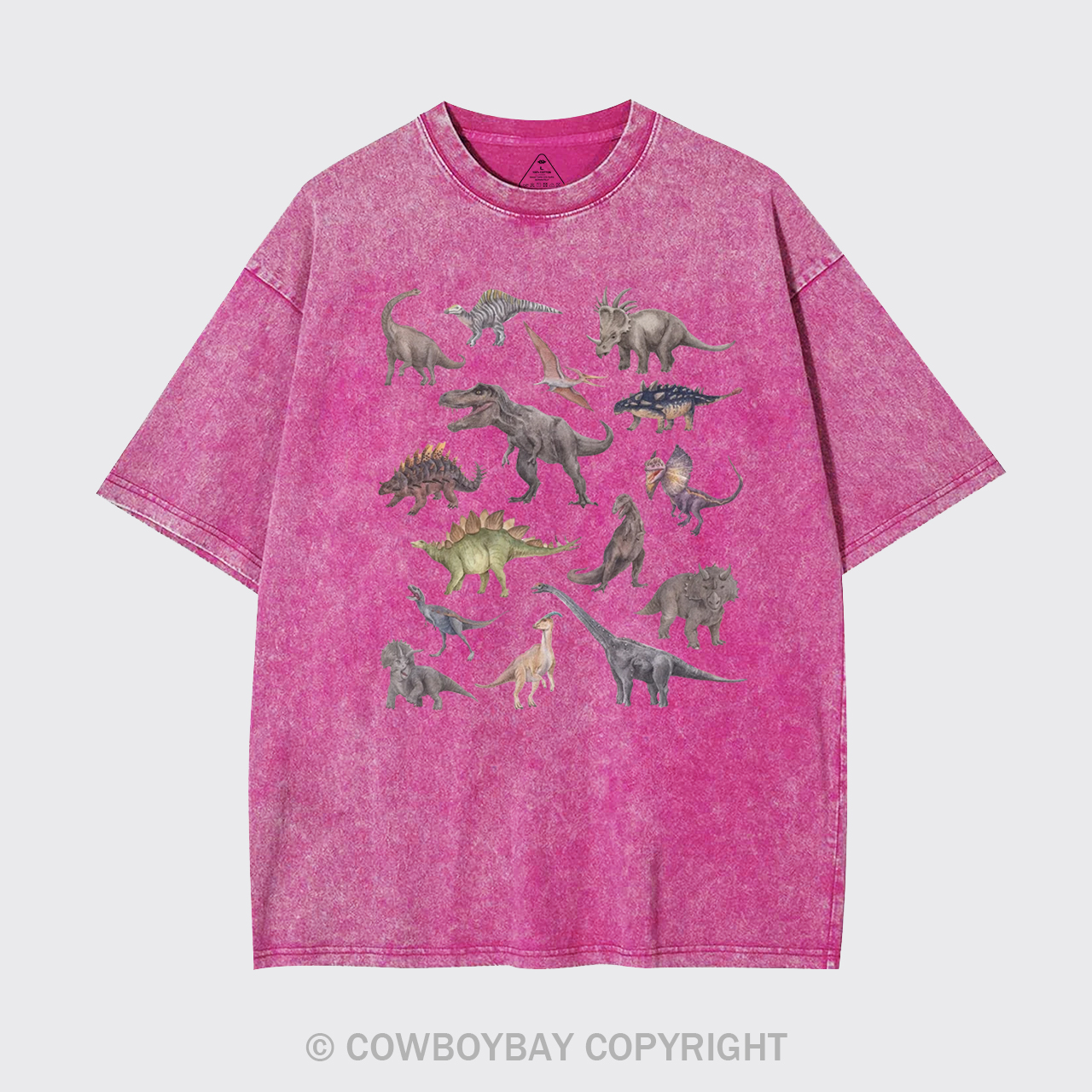 Dinosaur Garment-dye Tees