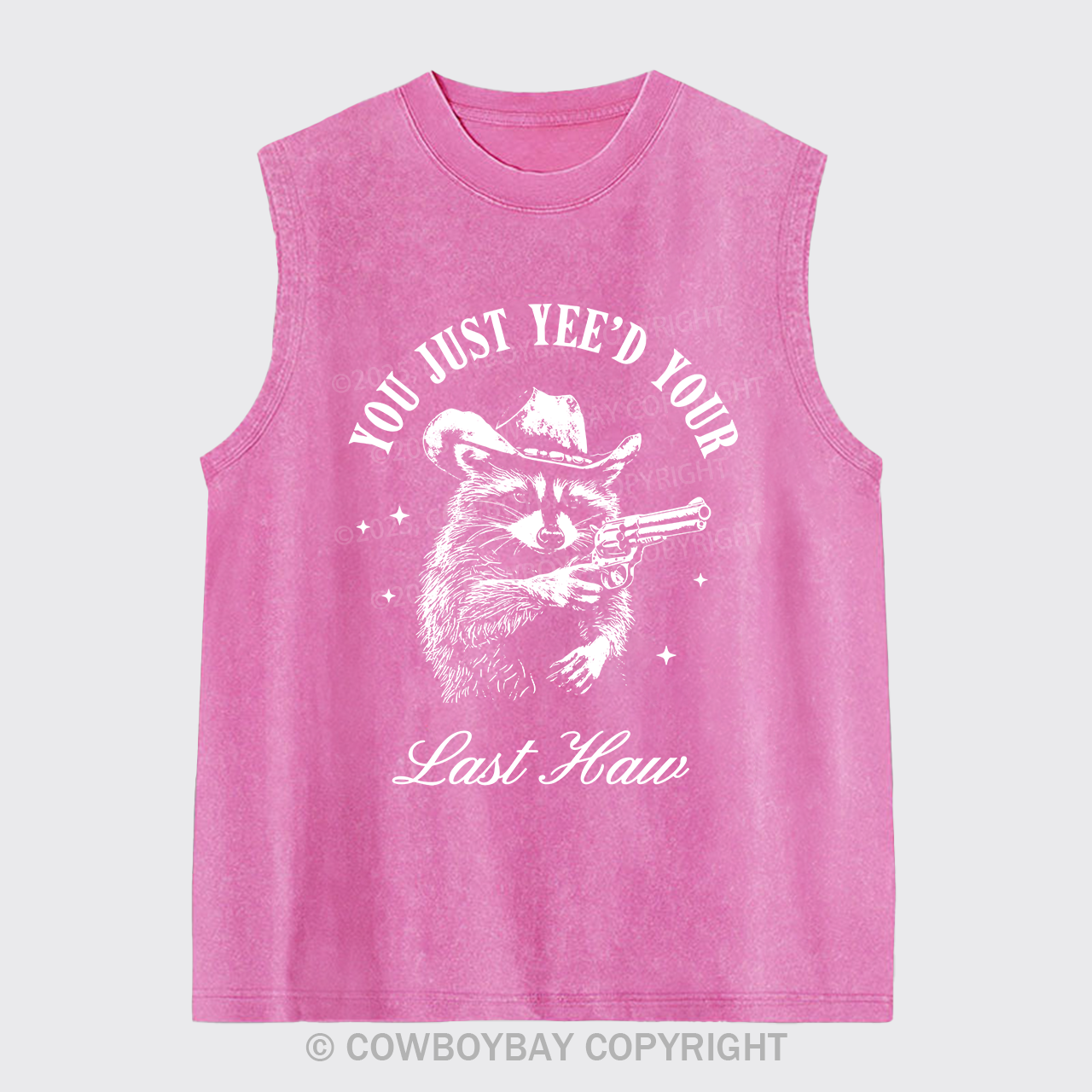 Western Raccoons Can Shoot Washed Tanks