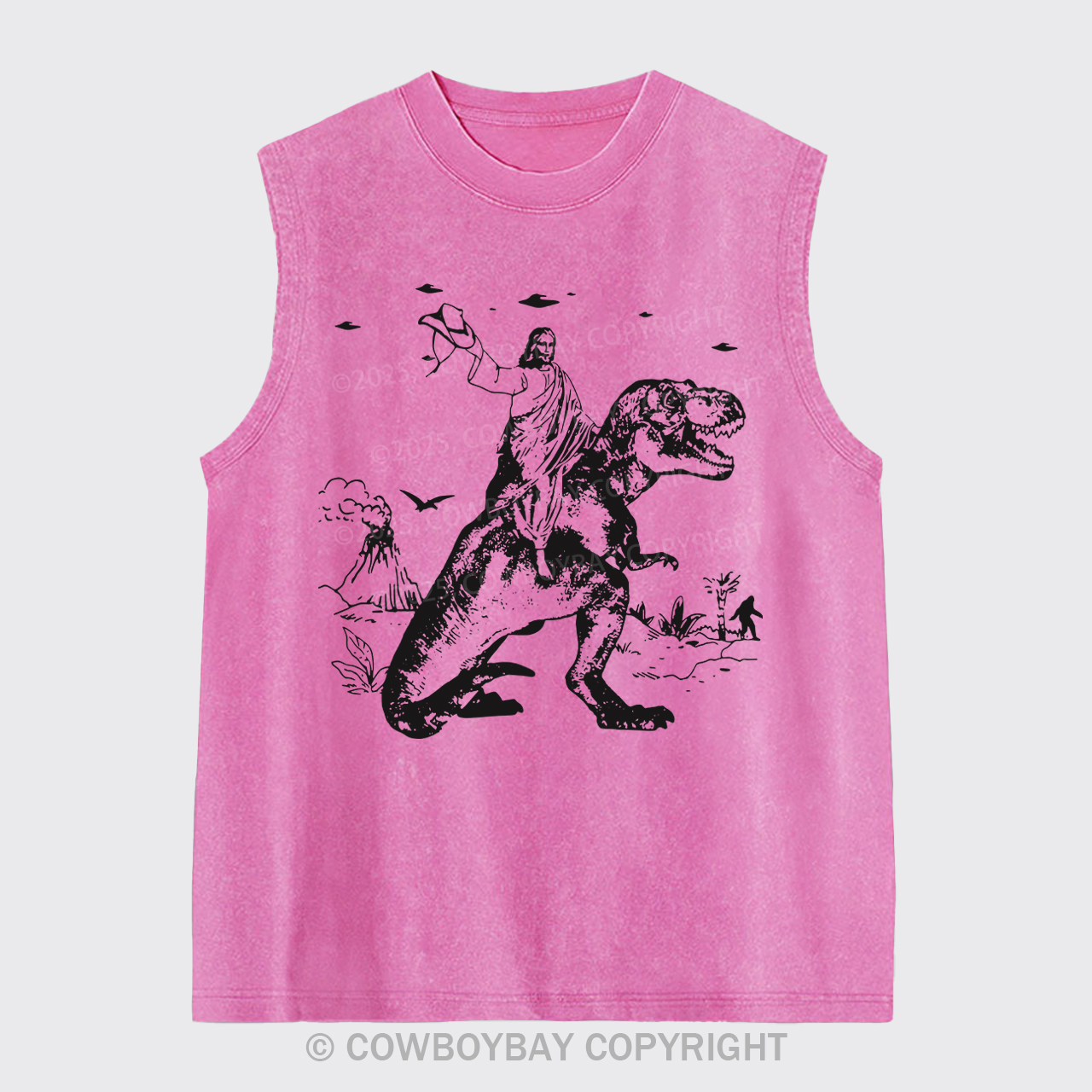 Jesus Riding Dinosaur Washed Tanks