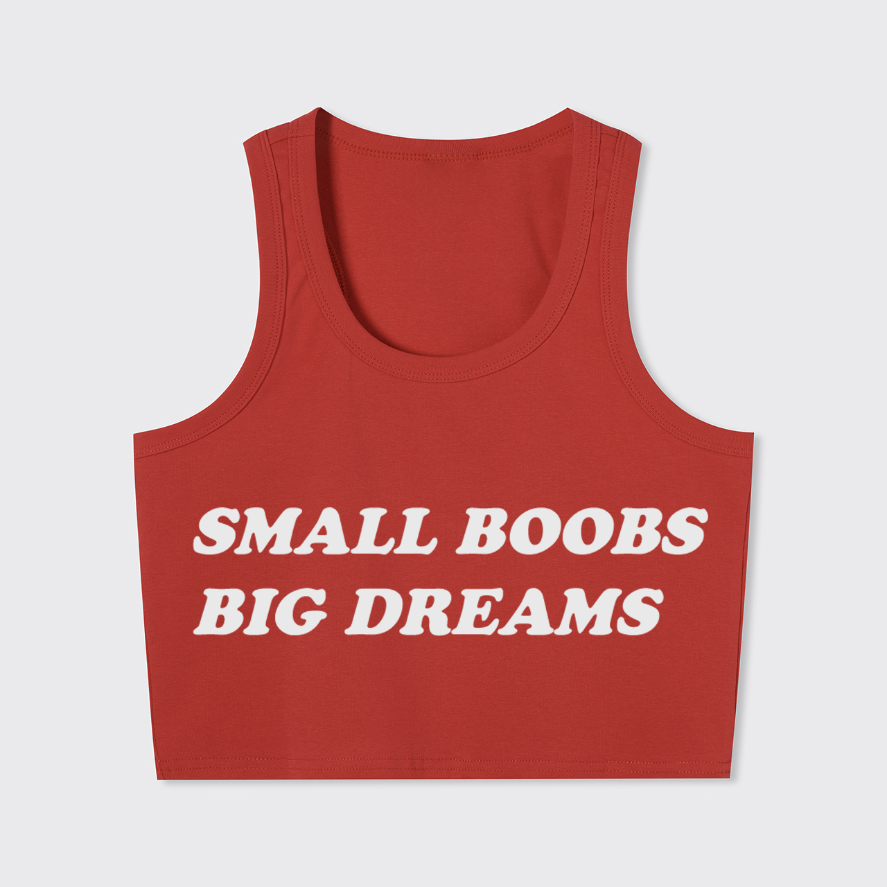 Small Boobs Big Dreams Tank Top