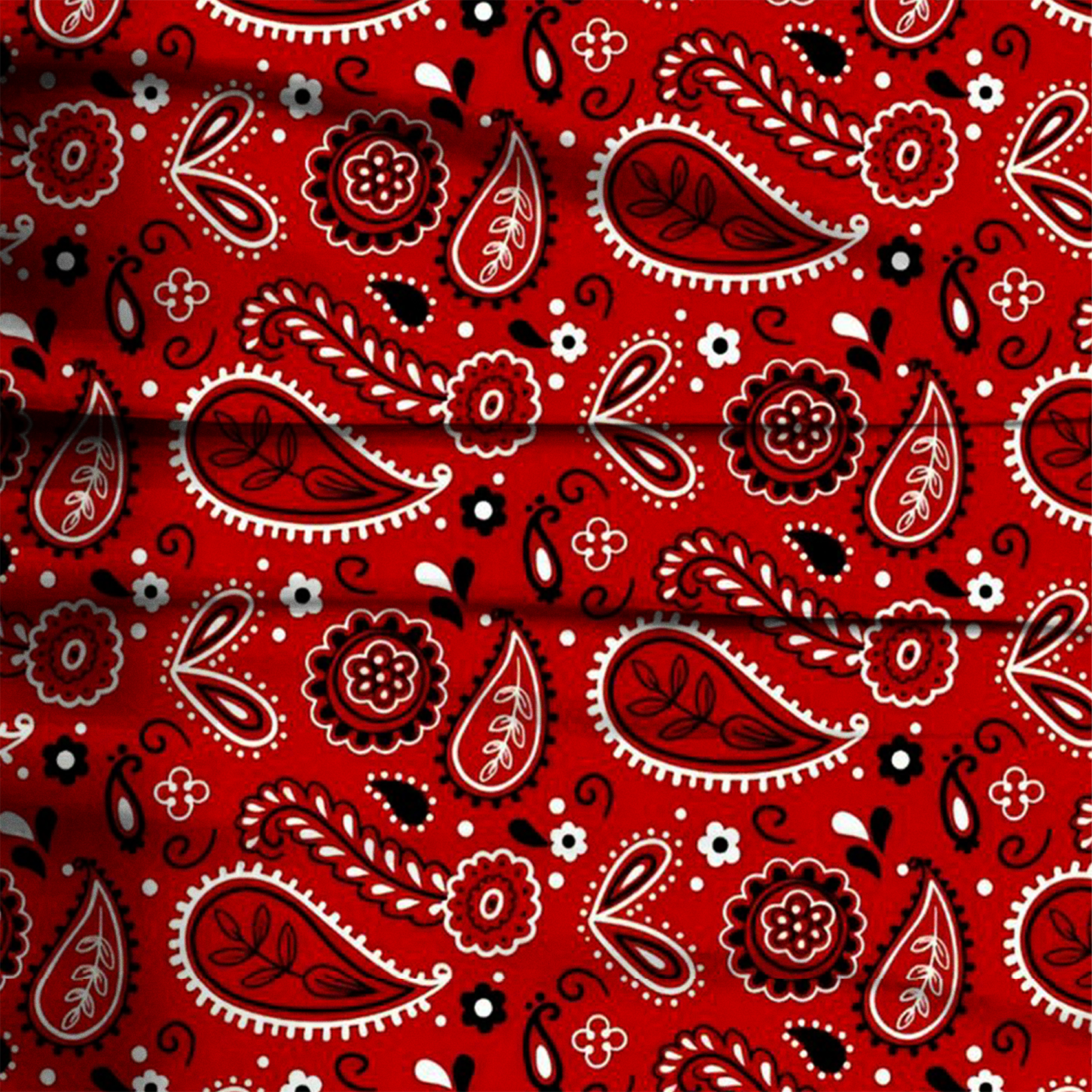Rodeo Red Paisley Pajama Pants