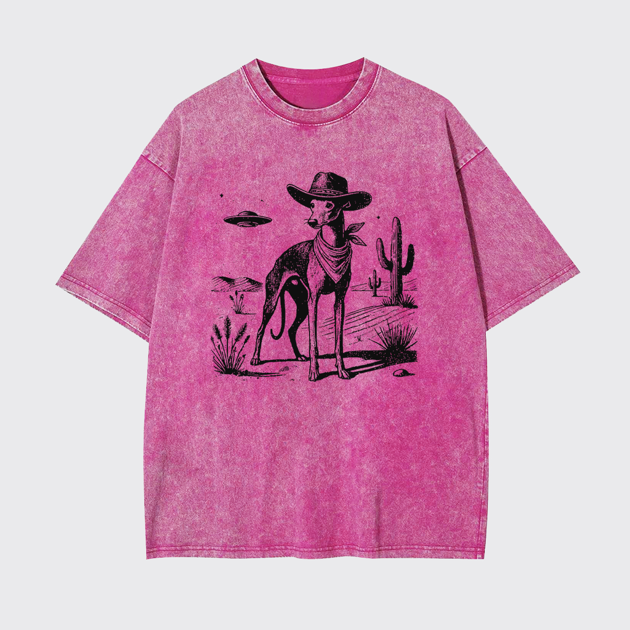 Whippet Vintage UFO Western Garment-dye Tees