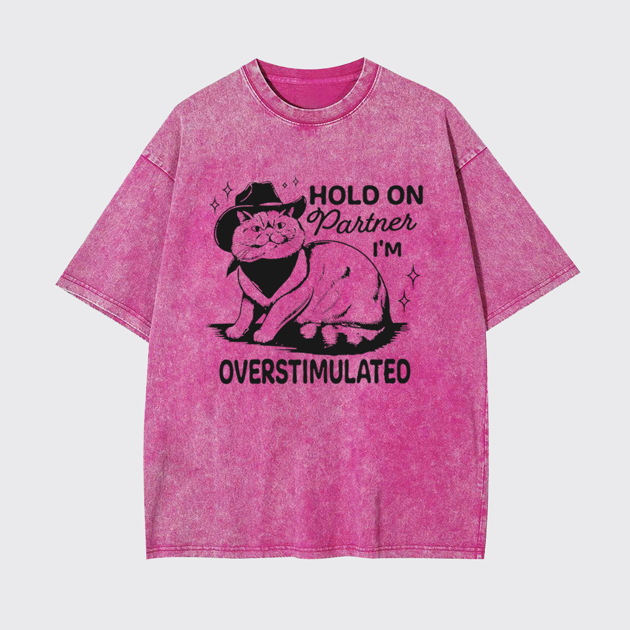 Funny Sarcastic Cat 90s Hold On Partner I'm Overstimulated Garment-dye Tees