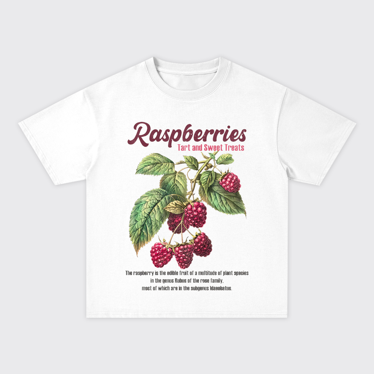 Retro Style-Fresh Raspberries Oversize T-Shirts