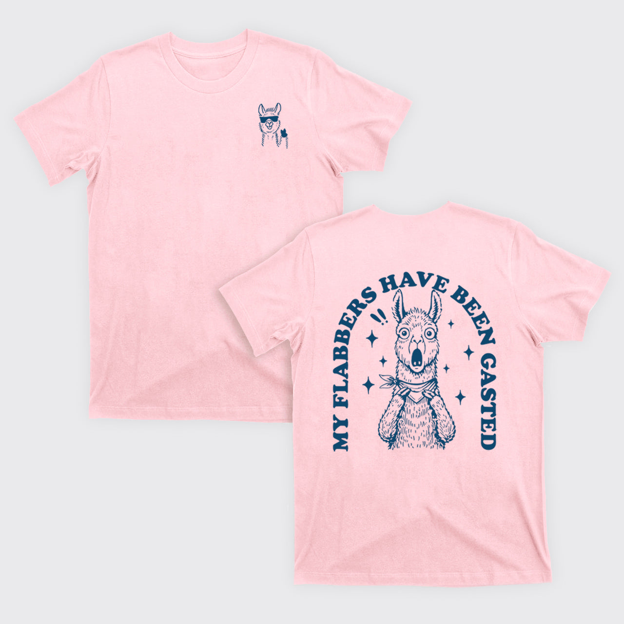 Snarky Sayings-My Flabbers Have Been Gasted T-Shirts