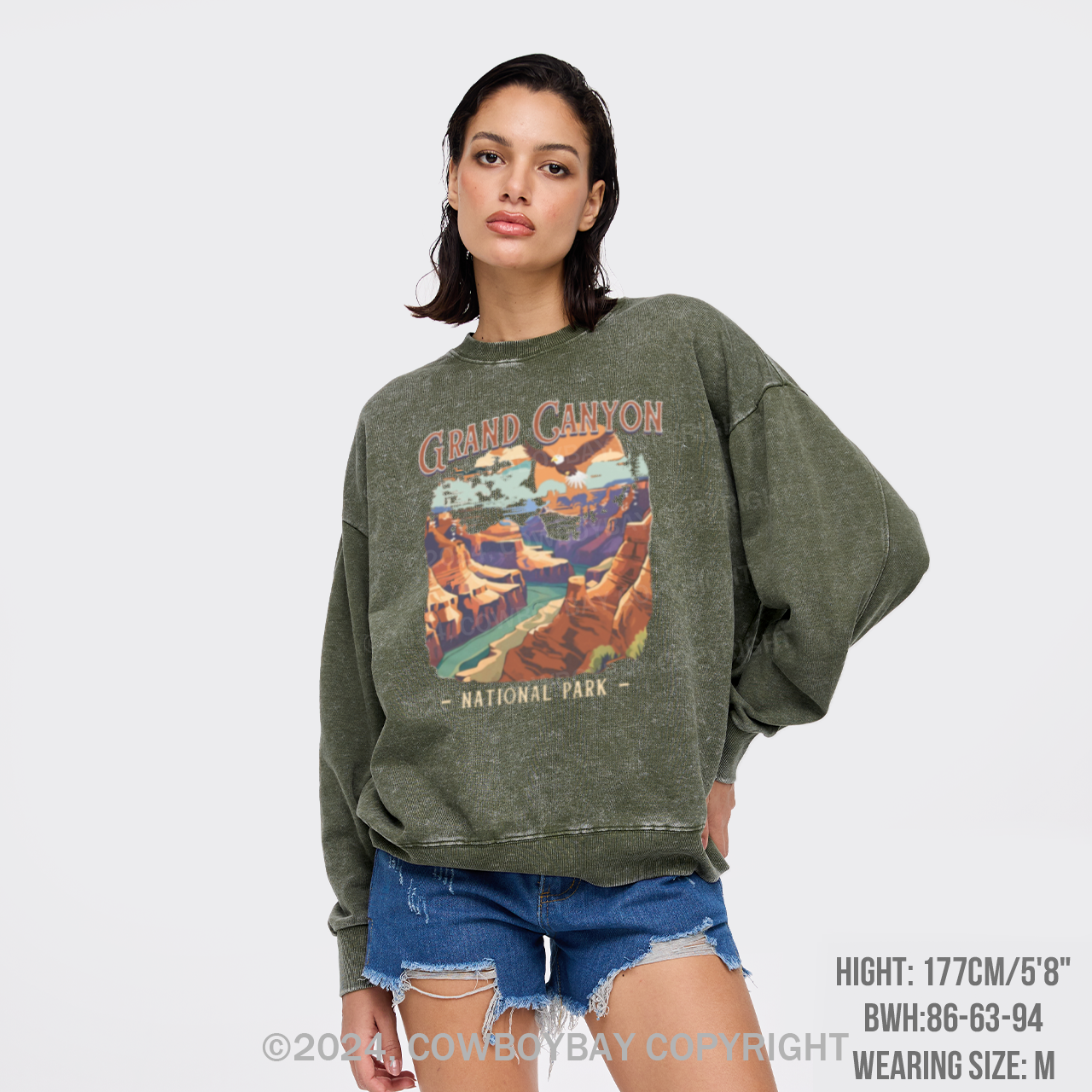 Vintage Grand Canyon National Park Washed Sweatshirts
