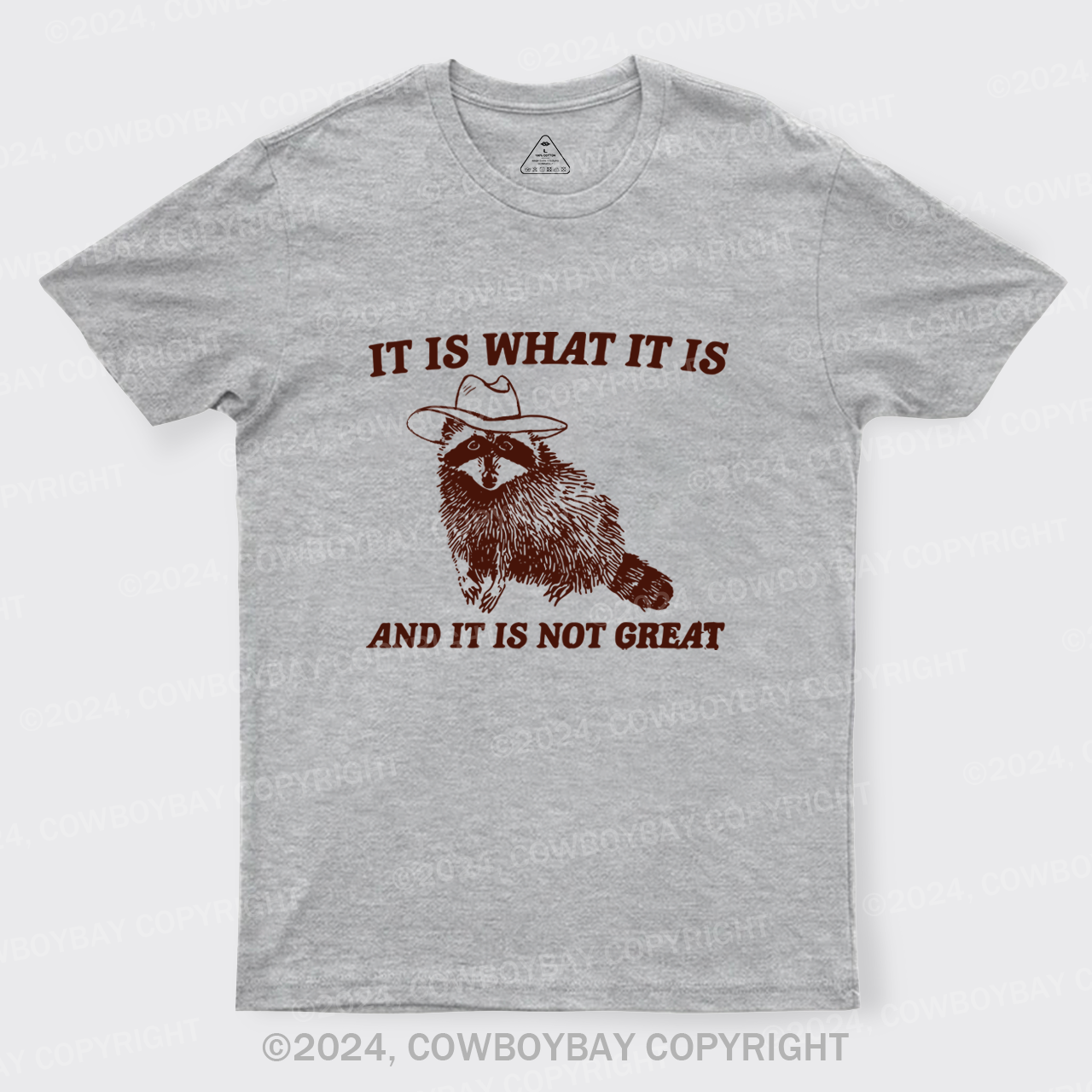 It Is What It Is And It Is Not Great T-Shirts