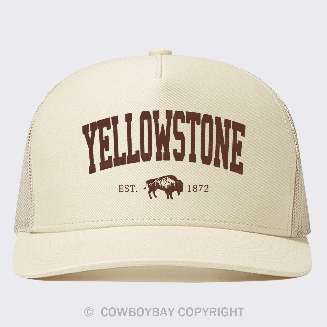 Vintage Yellowstone Trucker Hat