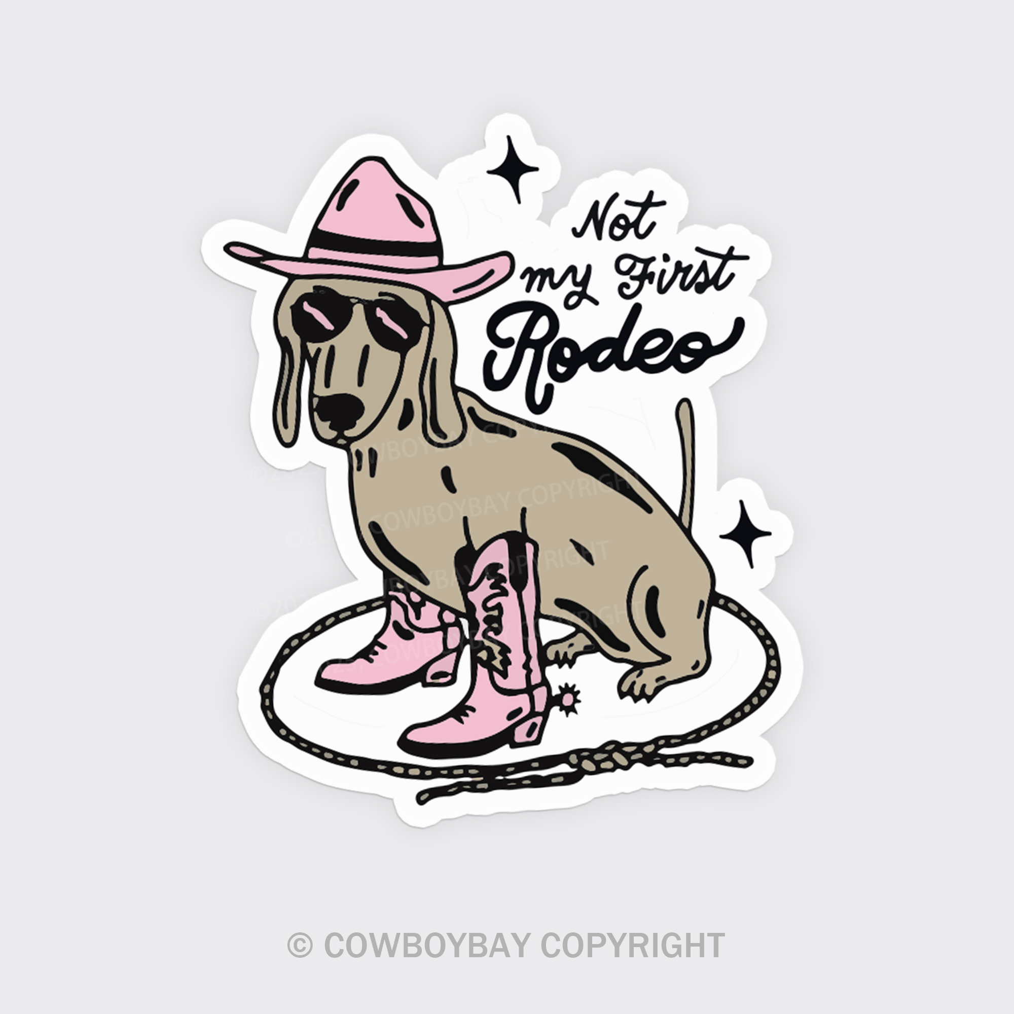 Not My First Rodeo Fridge Magnet