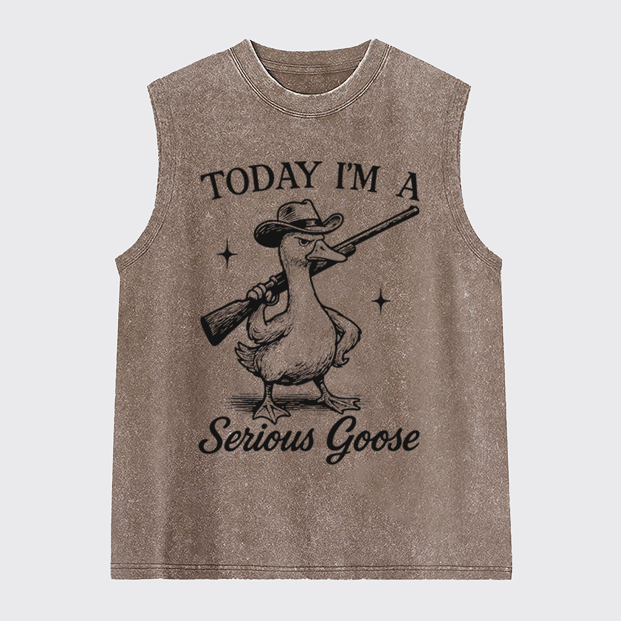 Retro Silly Goose-Today I'm A Serious Goose Washed Tanks