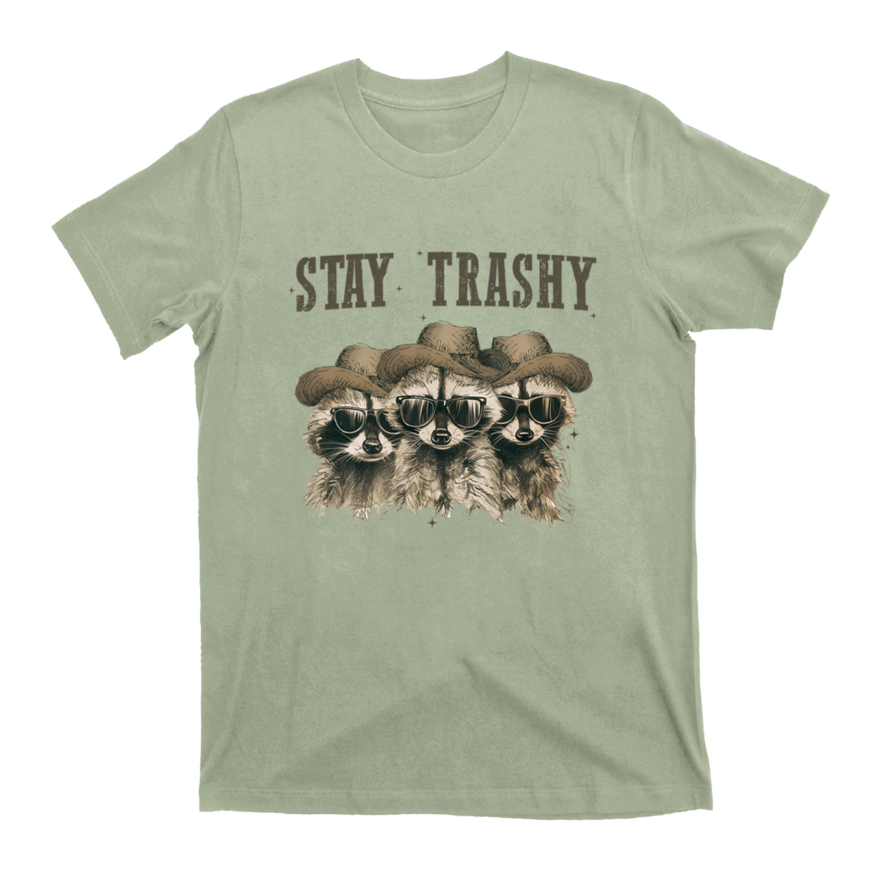 Stay Trashy,Raccoon T-Shirts