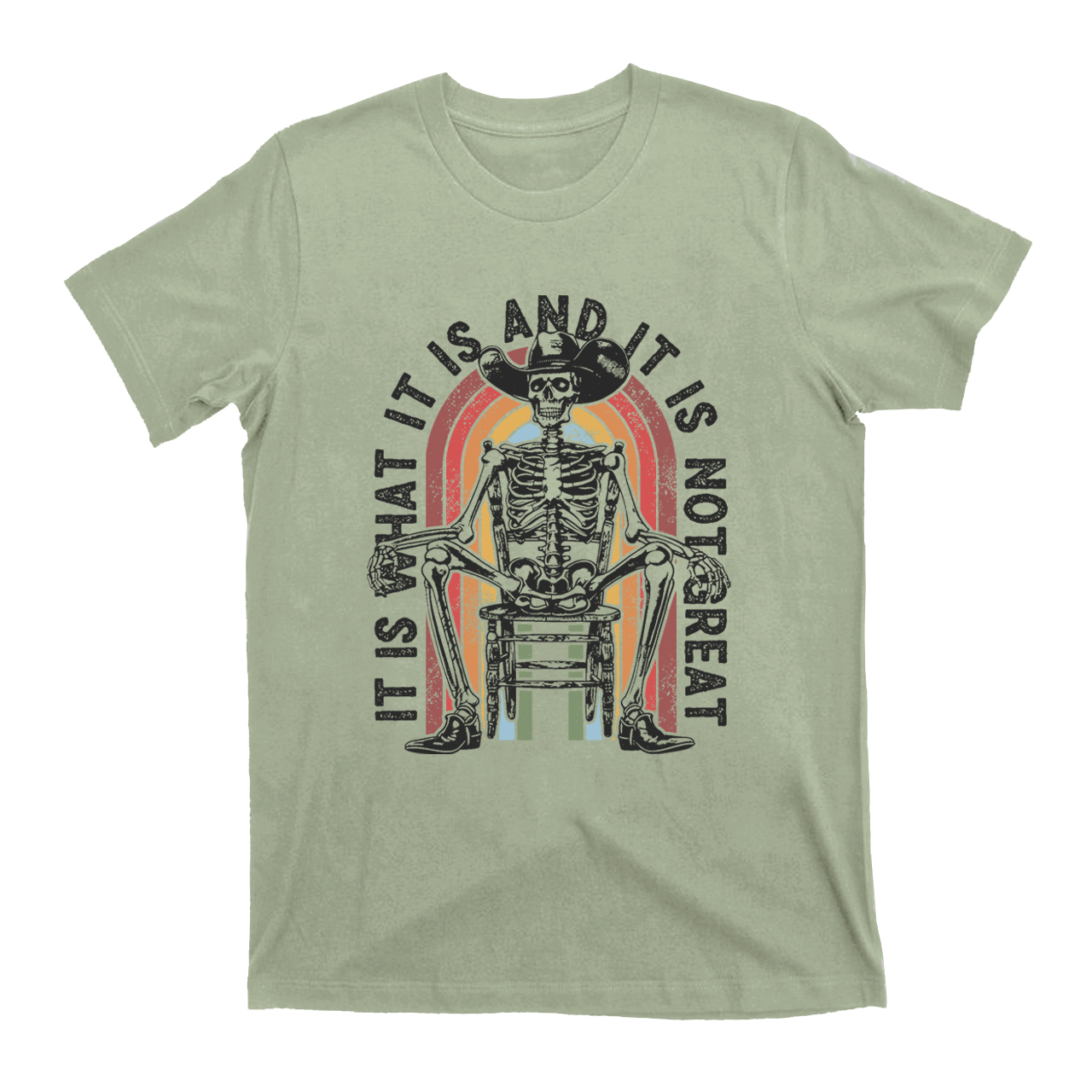 It Is What It Is And It Is Not Great T-Shirts